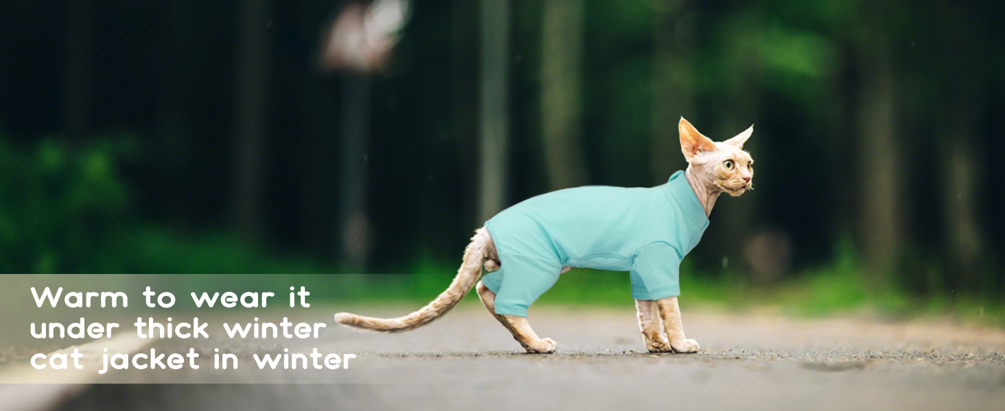 Colocar o nome do produto aqui